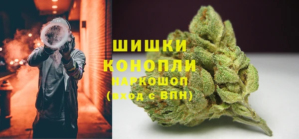 spice Горняк
